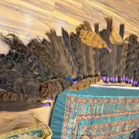 خریدارمو فروش مو