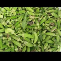 بامیه فروش باقیمت مناسب شهرستان حمیدیه