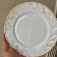 آرکوپال خارجی|ظروف سرو و پذیرایی|مشهد, شهید بهشتی|دیوار