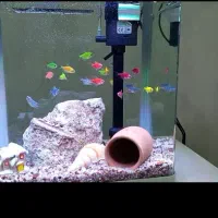 آکواریوم سوبو درب لپ تابی کاملا سالم و بدون ایراد