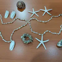 نیم ست دریایی