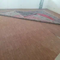 موکت|موکت|رامشیر, |دیوار