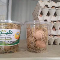 تخم مرغ گلپایگان|خوردنی و آشامیدنی|بهشهر, |دیوار