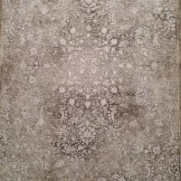 قالی فروشی|فرش|سیرجان, |دیوار