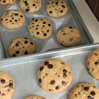 کوکی و کیک خونگی|خوردنی و آشامیدنی|رودبنه, |دیوار