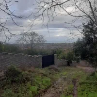 باغ پرتقال ۱۳۰۰ متری زیر قیمت بازار اوشیان دو بر