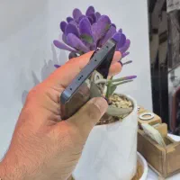 Note13 Pro Plus با شرایط اقساط|موبایل|سبزوار, ابوریحان|دیوار