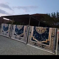 قالیشویی سیستان|خدمات نظافت|زابل, |دیوار