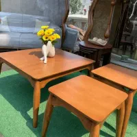 شریک سرمایه گذار