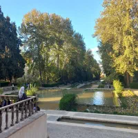 ۹قصب زمین