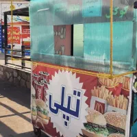 چرخ فلافلی سالم