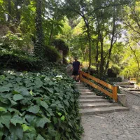 ویلایی۲۵۰مترزیربنا دوبلکس درقلب گلشن/تهاتر با واحد|فروش خانه و ویلا|مشهد, هنرستان|دیوار