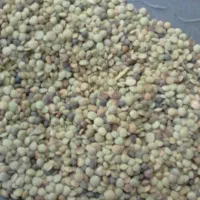 عدس|خوردنی و آشامیدنی|گرمی, |دیوار