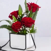 گل به قیمت گلخانه تولدمراسم سوپرایز تاج گل دسته گل|گل و گیاه طبیعی|اصفهان, احمدآباد|دیوار