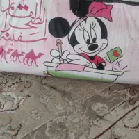 زیر انداز حصیری خارجی ۶متری