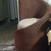 صندلی|مبلمان خانگی و میز عسلی|تهران, گلچین|دیوار