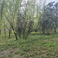 زمین مسکونی ۴۸۰ متر