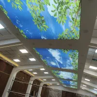 انواع سقف های آسمان مجازی کشسان لابل باریسول