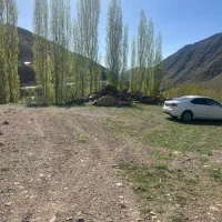 زمین یوش بلده|فروش زمین و ملک کلنگی|بلده, |دیوار