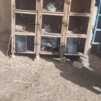 جفت کن