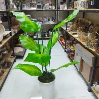 گلدان کنار سالنی|صنایع دستی و سایر لوازم تزئینی|قم, نیروگاه|دیوار