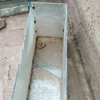 دوتا آکواریوم