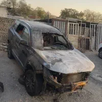 چری تیگو ۸ پرو ۱۴۰۳ نسخه ie در حد صفر / تصادفی|خودرو سواری و وانت|تهران, مهرآباد جنوبی|دیوار