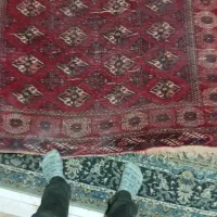 فرش دستبافت ۶متری|فرش|گرگان, |دیوار