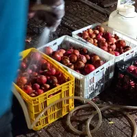 آب انار تازه|خوردنی و آشامیدنی|کوهدشت, |دیوار