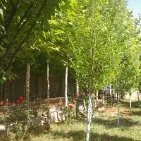 برنامه تفریهی ابشارخفر