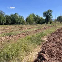 باغ درکهریز در متراژ مختلف|فروش زمین و ملک کلنگی|ابهر, |دیوار