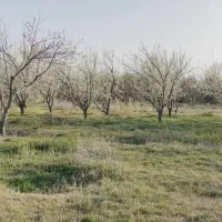 زمین-مناسب-ویلاسازی