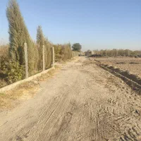 زمین-کشاورزی-تنکمان