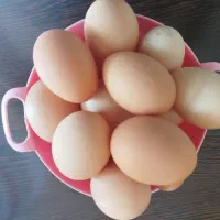 تخم مرغ .بومی|خوردنی و آشامیدنی|شاهین‌شهر, گرگاب|دیوار