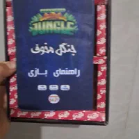 بازی فکری