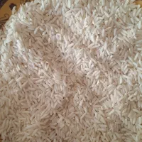 برنج سالم هاشمی درجه یک