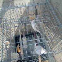 عروس هلندی جفت