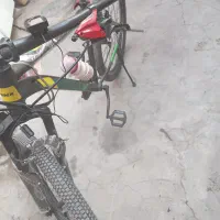 به پول  نیامندم|دوچرخه، اسکیت، اسکوتر|سبزوار, علمدار|دیوار