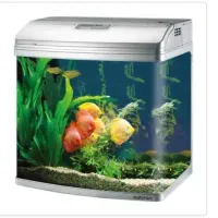 آکواریوم ماهی