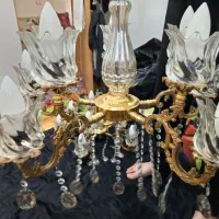 لوستربرنز10شاخه