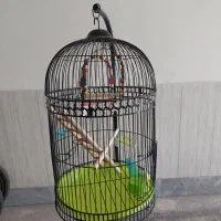 قفسه|لوازم جانبی حیوانات|شیروان (خراسان), |دیوار