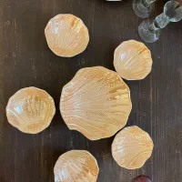 ست کامل اجیل خوری صدفی