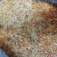 ریشه زعفران و پرچم زعفران100کیلو|خوردنی و آشامیدنی|تهران, افسریه جنوبی|دیوار
