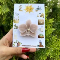 گیفت سالن زیبایی ۵۰ تومن