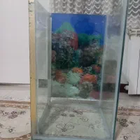 آکواریوم ماهی