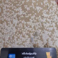 کارت  گمشده پاسارگارد