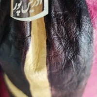 نی انبون