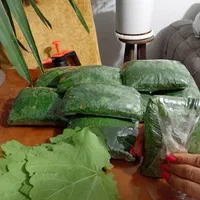 دلمه برگ مو با گوشت گرم گوسفندی با بالاترین کیفیت|خوردنی و آشامیدنی|شیراز, معالی‌آباد|دیوار