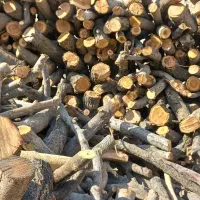 هیزم خشک|عمده‌فروشی|شهریار, شهرک امیریه|دیوار