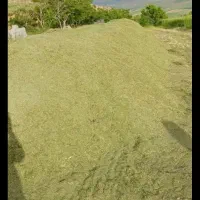 یونجه خردشده انواع خوراک دام